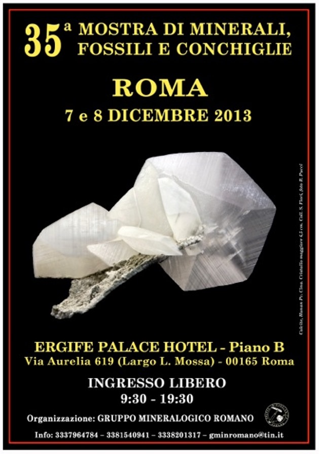 35 Mostra di Minerali, Fossili e Conchiglie ERGIFE (Roma)